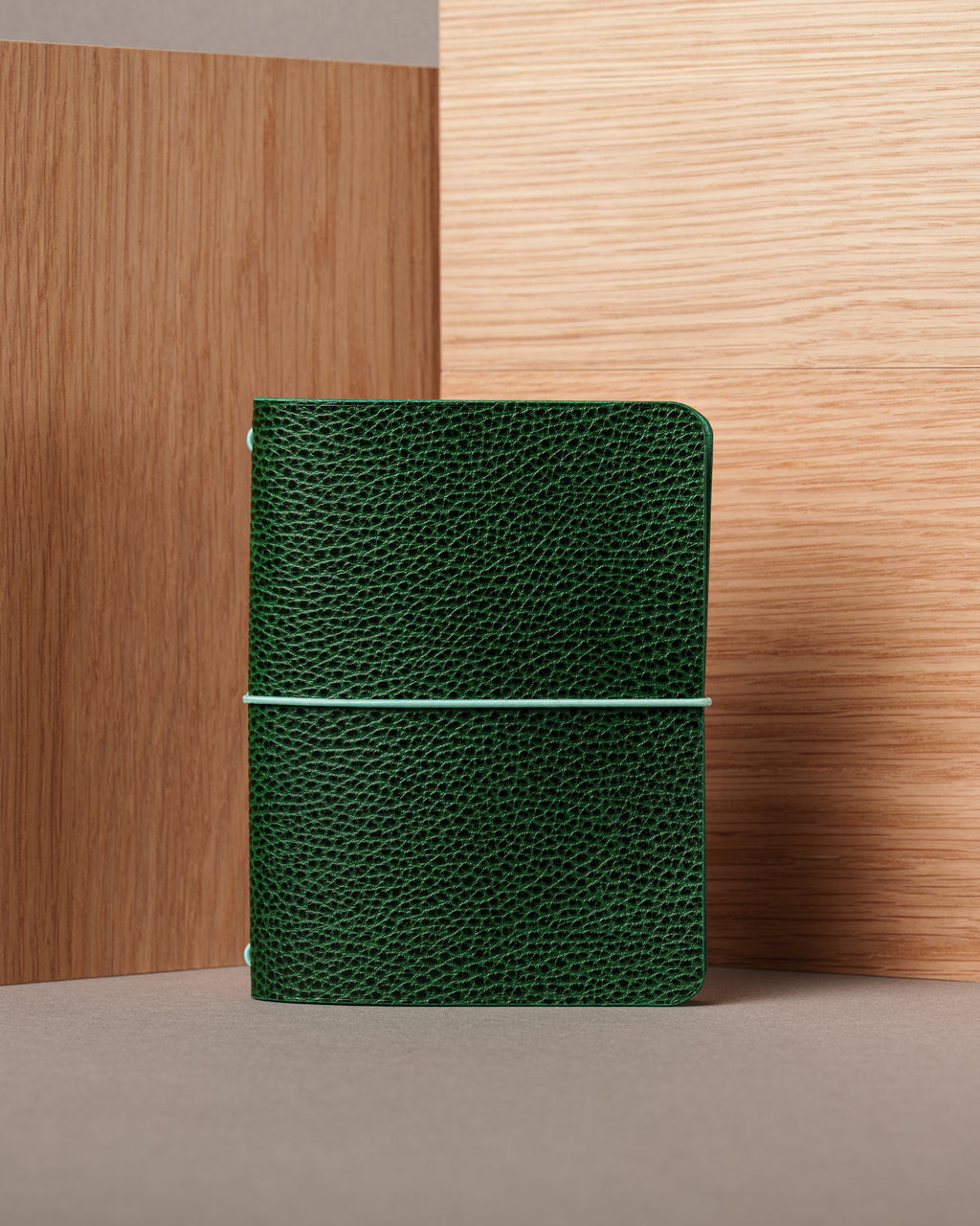 Green Dollaro Leather Cover