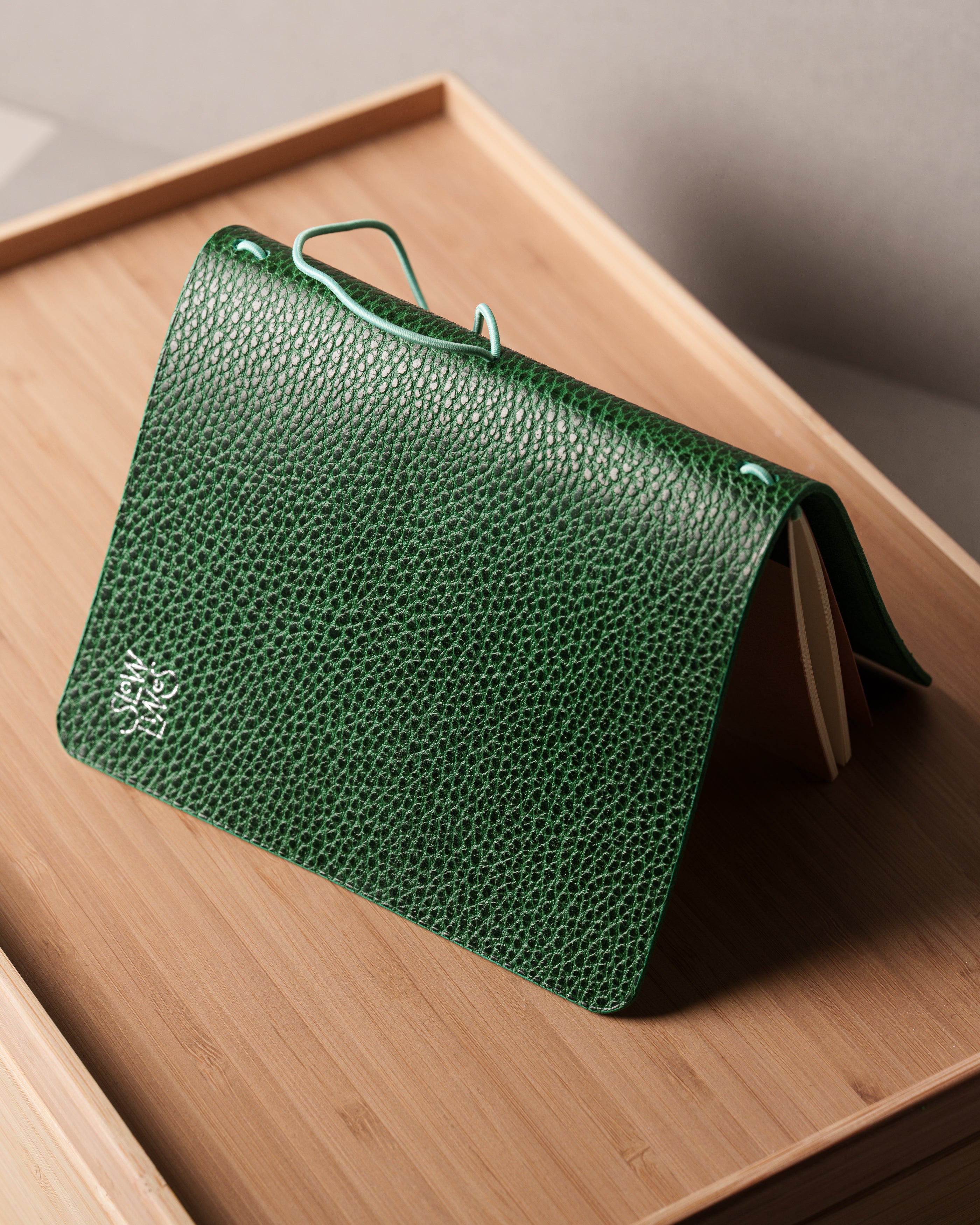 Green Dollaro Leather Cover