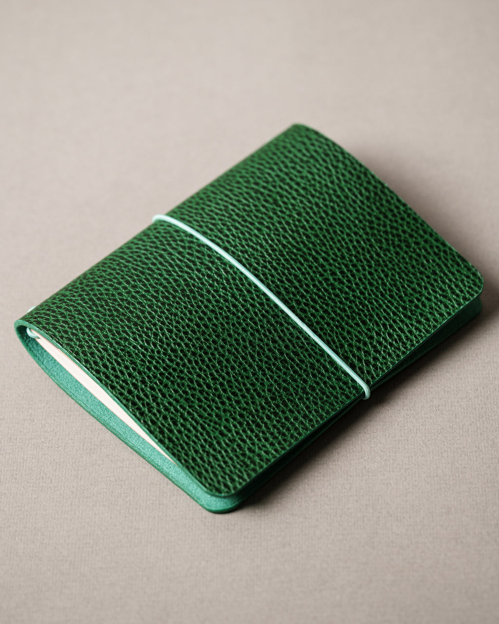 Green Dollaro Leather Cover