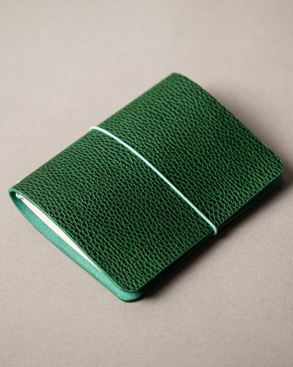 Green Dollaro A6 cover, ready to ship