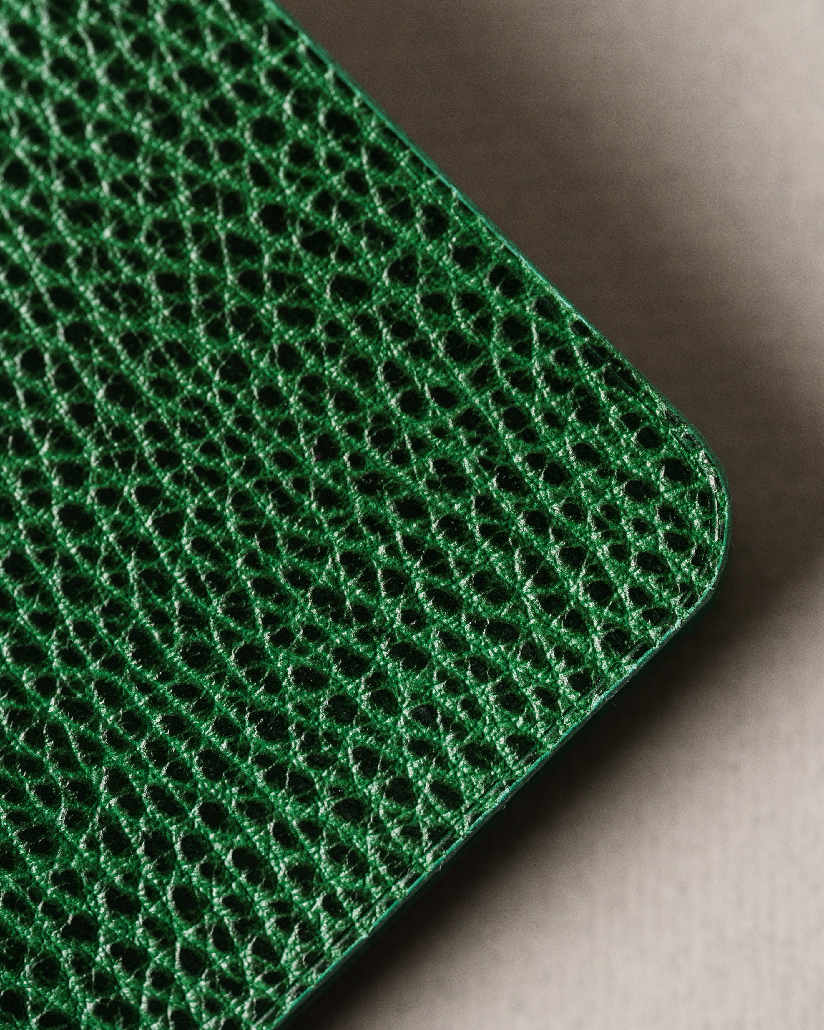 Green Dollaro Leather Cover