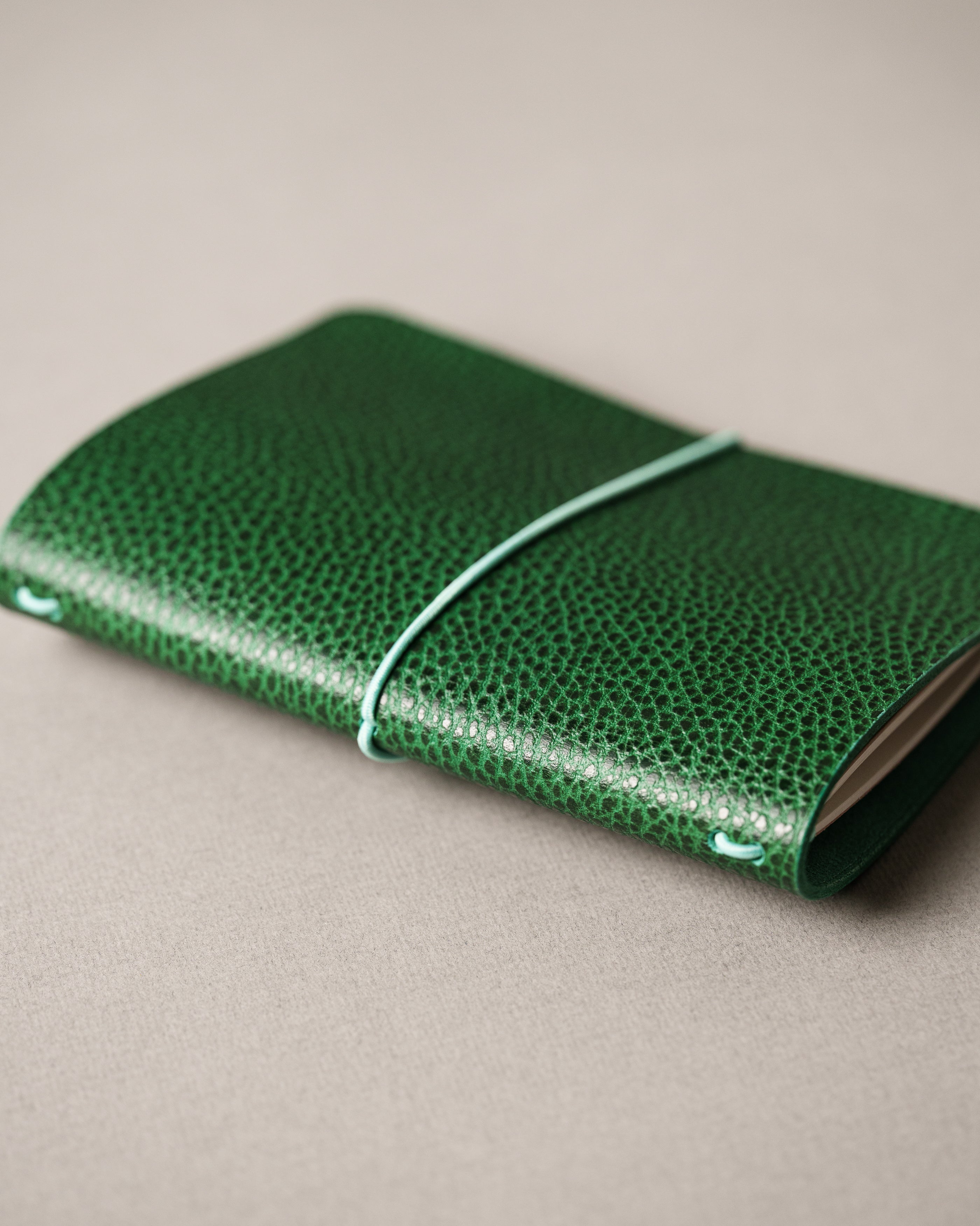 Green Dollaro A6 cover, ready to ship