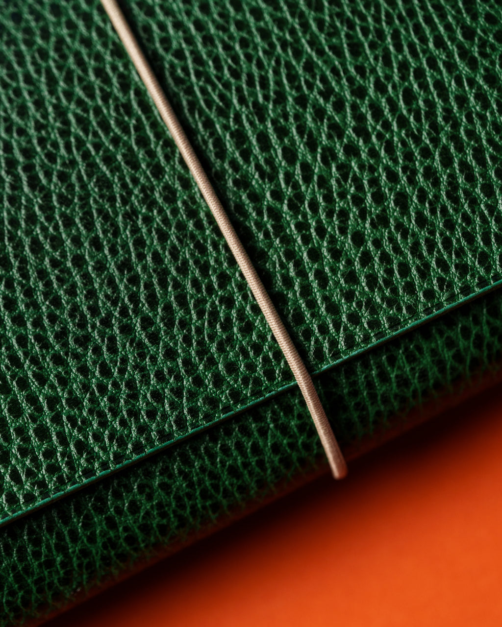 Green Dollaro Leather Trifold Cover