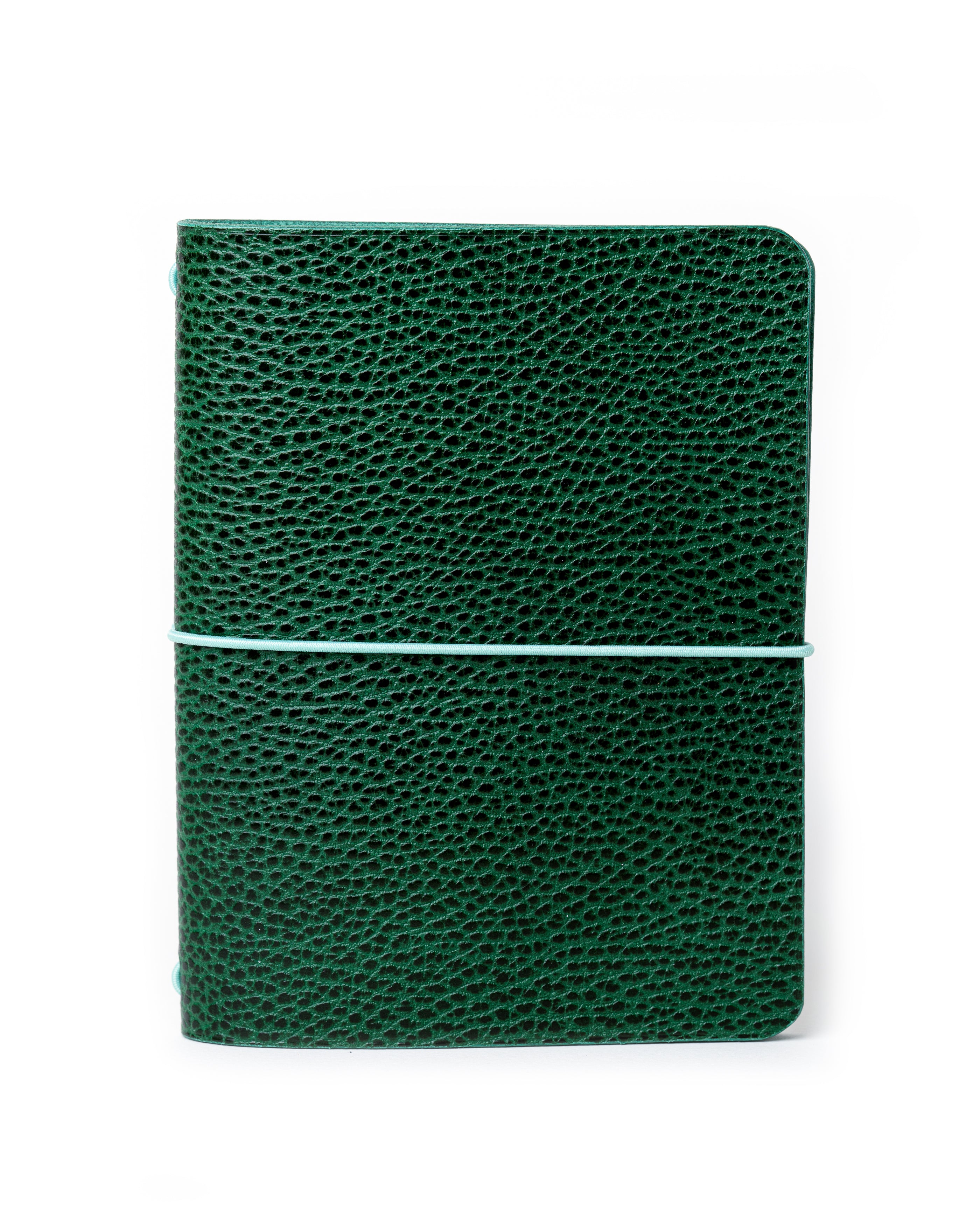 Green Dollaro Leather Cover