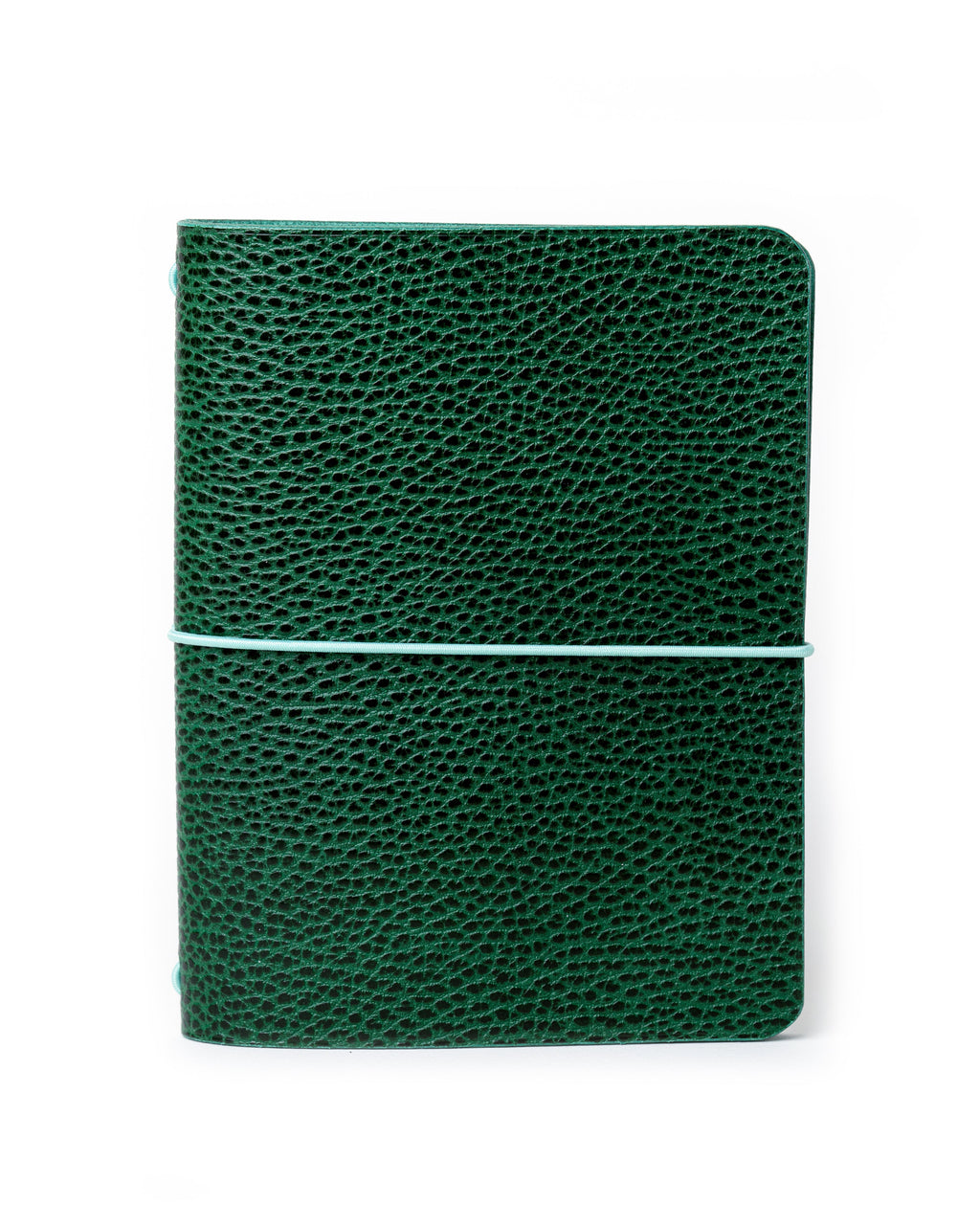 Green Dollaro A6 cover, ready to ship