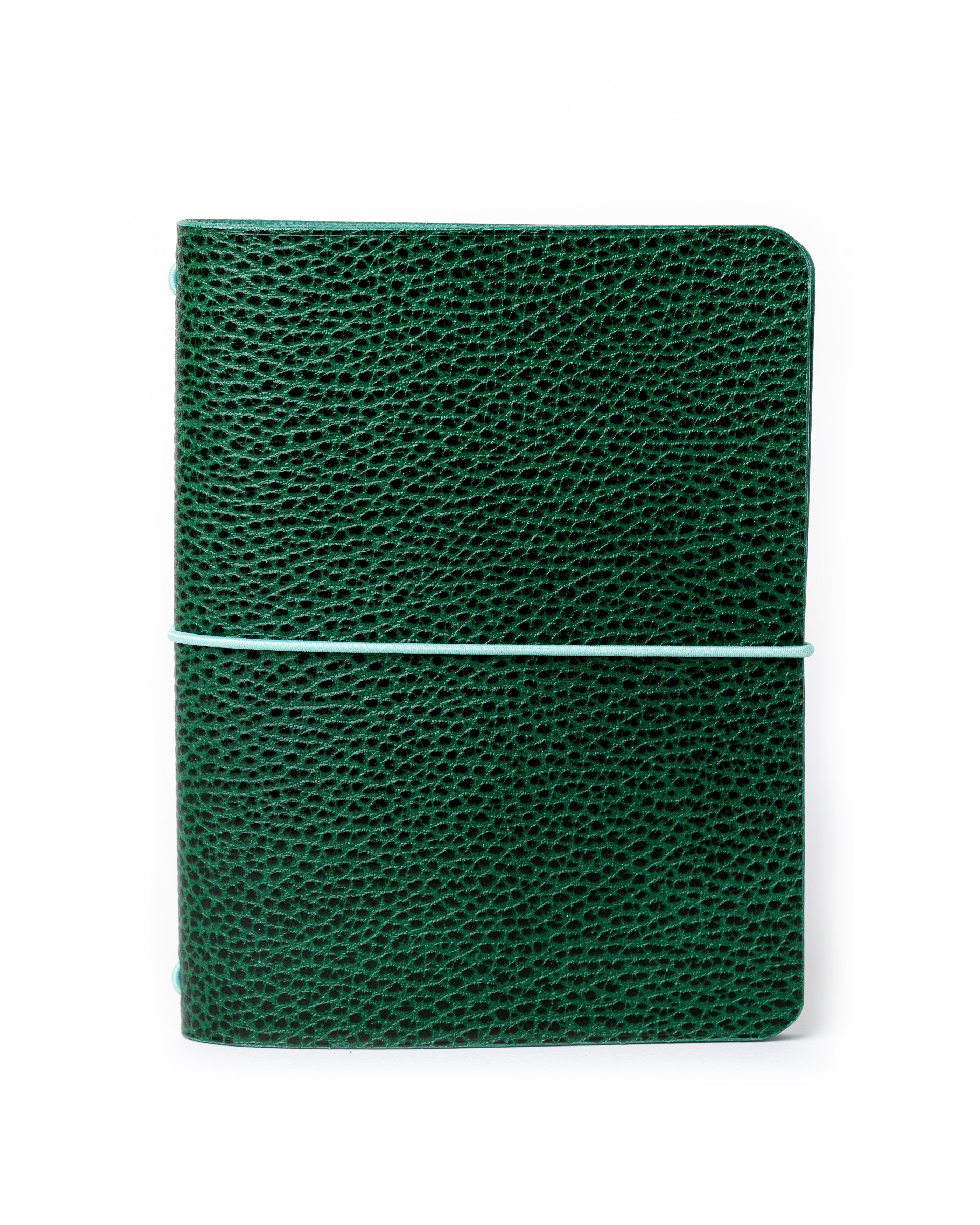 Green Dollaro A6 cover, ready to ship