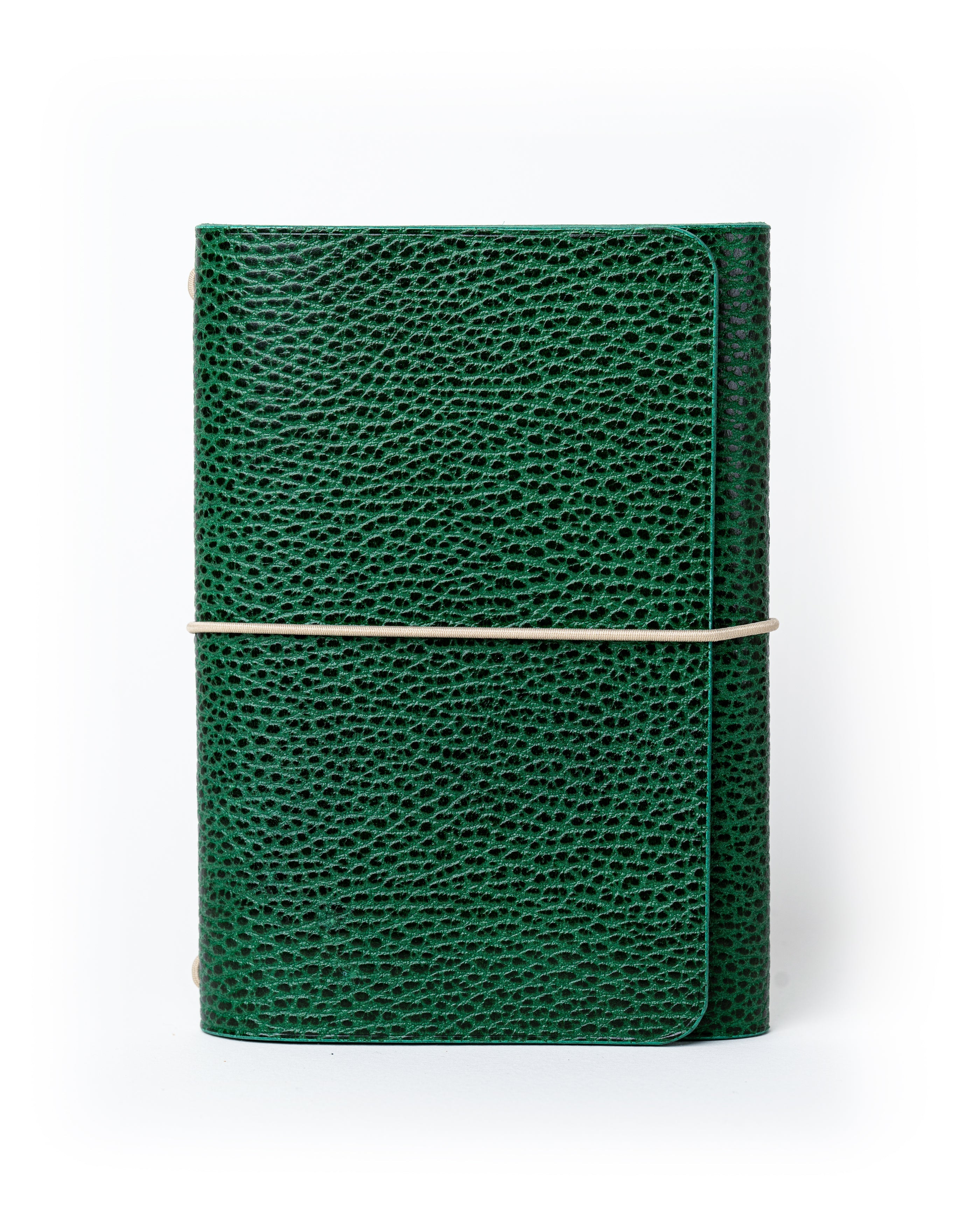 Green Dollaro A6 trifold cover, ready to ship