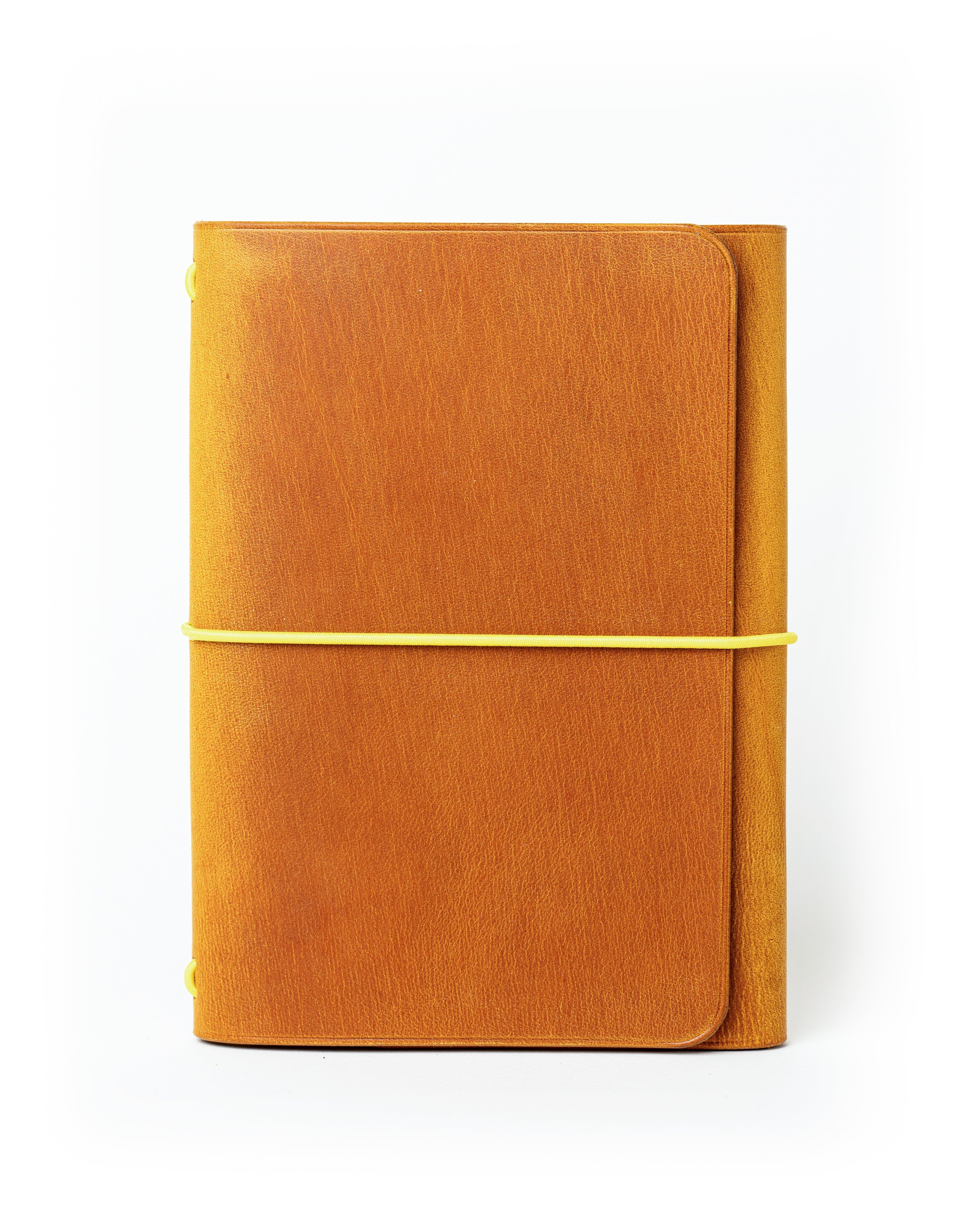 Ginger Freedom A6 trifold cover, ready to ship